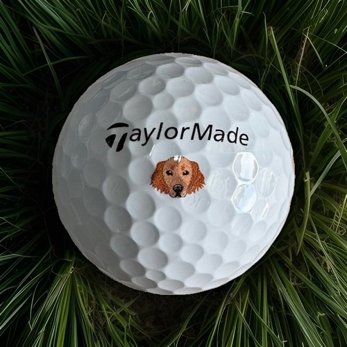 Taylormade tp5 golden - taylormade,